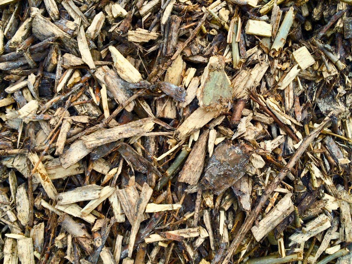 Agroforst_DeFAF's tweet photo. #pellets, #hackschnitzel, #scheitholz - #Energieerzeugung geht auch mit #agroforstwirtschaft! Beim #Lausitz|er #agroforst-Stammtisch in #lübbenau diskutieren wir, wie's gehen kann. Seid dabei, am 30.11. um 18 Uhr im Gasthaus "Zum grünen Strand der Spree"
https://t.co/ZjCnYgOfzB https://t.co/RtfxGKHDXP