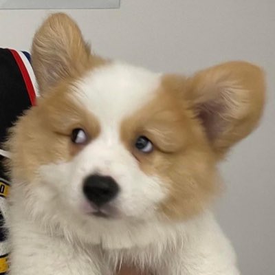 #NewProfilePic