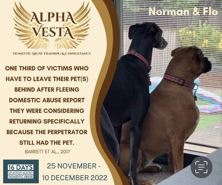 #16daysofaction #domesticabuse #awareness #educatingandempowering