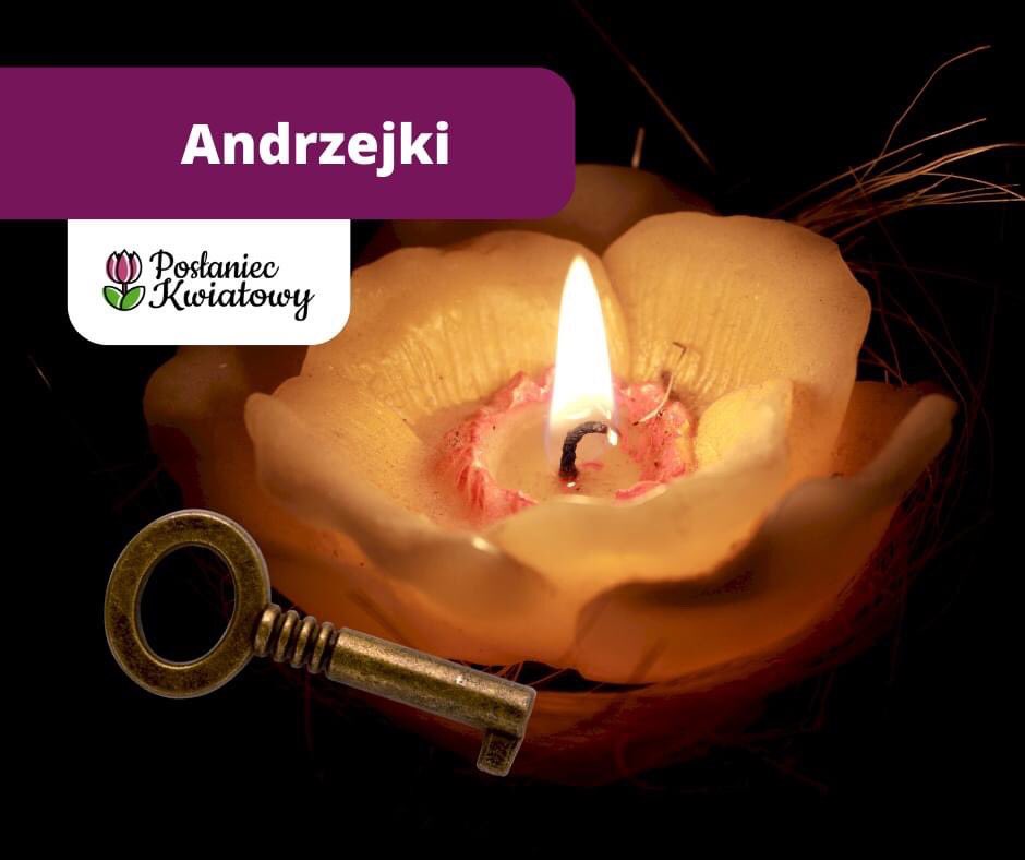 PoslaniecK's tweet photo. Dzisiaj imieniny Andrzeja i słynne #andrzejki ‼️

Poza dobrą imprezą fajnie będzie jeszcze dzisiaj móc obdarować wszystkich Andrzejów małym upominkiem - na przykład prostym bukietem lub koszem upominkowym.

Poszukaj go w naszym sklepie:
https://t.co/0aArVeLzmj

#gift #prezent https://t.co/yRmmcMm3vt