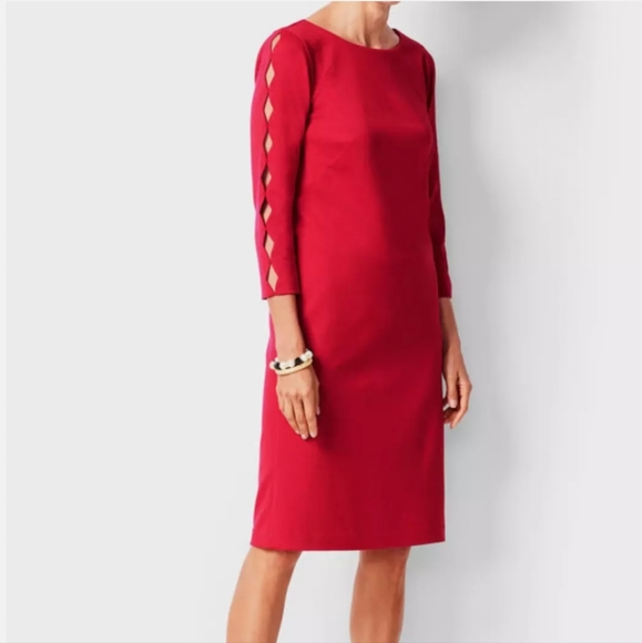 llopez0204's tweet photo. So good I had to share! Check out all the items I'm loving on @Poshmarkapp #poshmark #fashion #style #shopmycloset #jessicahoward #talbots: https://t.co/QQnQJW5qKz https://t.co/hj0z77dyZn