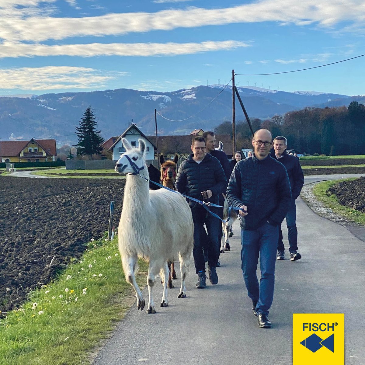 fischtools's tweet image. Another surprise, another 50th birthday present for our CTO Andreas Eberhard. 🥳 A hike together with llamas and alpacas 🦙 🦙 from the Alpakaranch Frauental brings South America flair and was fun for all of us. 🤩
#team #fischtools