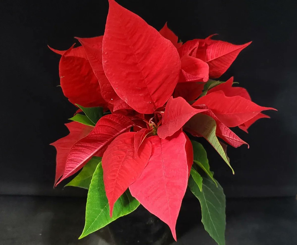 Eoy0pxa9afbftm Eoy0pxa9afbftm