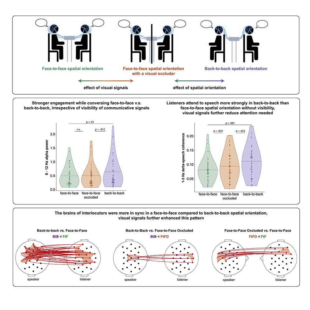 lindadrijvers.bskyapp.social (@lindadrijvers) on Twitter photo New paper out w/ <a href="/JudithHoller/">Judith Holler</a>! We used dual-EEG to demonstrate that face-to-face spatial orientation induces a special ‘social mode’ for neurocognitive processing during conversation, even in the absence of visibility --> sciencedirect.com/science/articl… New paper out w/ <a href="/JudithHoller/">Judith Holler</a>! We used dual-EEG to demonstrate that face-to-face spatial orientation induces a special ‘social mode’ for neurocognitive processing during conversation, even in the absence of visibility --> sciencedirect.com/science/articl…