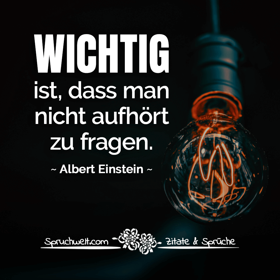 spruchwelt's tweet photo. Wichtig ist, dass man nicht aufhört zu fragen - Albert Einstein Zitat #einstein #zitat #zitate #spruch #sprüche #wichtig #wissen #fragen

➡ Mehr Zitate &amp; Sprüche: https://t.co/mP7Zfw6CRT https://t.co/MS1B2ZiPJk