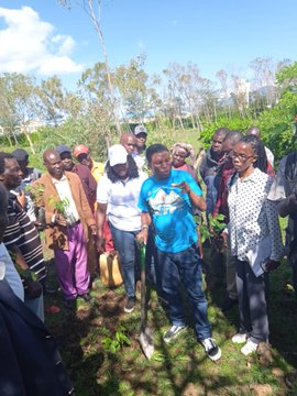 NchiYetu254's tweet image. Look at a tree, a flower, a plant. Let your awareness rest upon it. How still they are, how deeply rooted in Being. Allow nature to teach you stillness. Plant a tree save the planet 🌍

#PACJA | #BillionTrees |  #Trees4future  | #KenyaKwetu

Courtesy : @mithika_mwenda