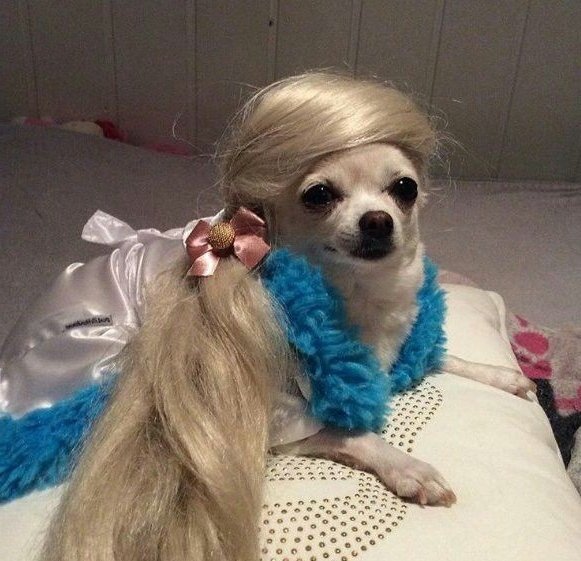 ❄️❄️
#LUCAS #루카스 #黄旭熙 #ルーカス