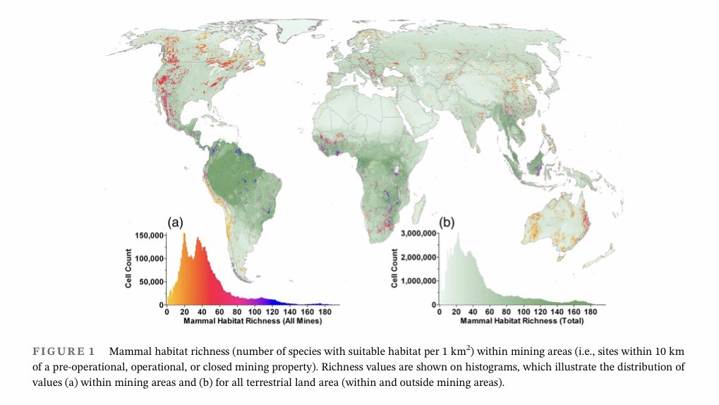 Tom Lloyd tweet media
