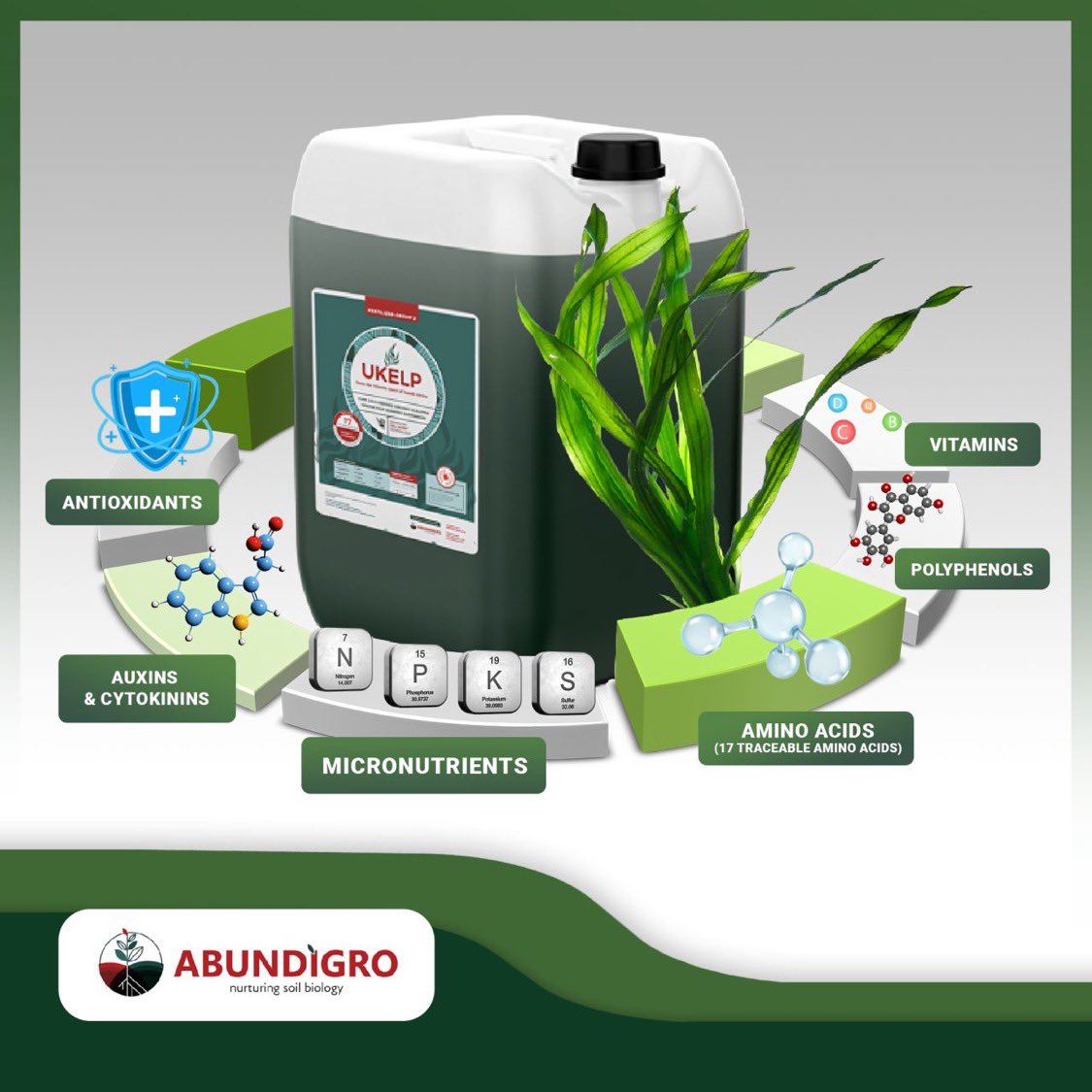SoilBiologyLtd's tweet photo. Improve your sports turf performance this winter
🌱⛳️🏟️🏇⚽️
✅ Increased percolation rates.
✅ Reduction in black layer.
✅ Reduction in thatch.
✅ increased health and vigour.
✅ increased root development.
#Oxyturf+UKelp #Oxyflow #UKelp #InvestInSoil https://t.co/1teZh3KUDt