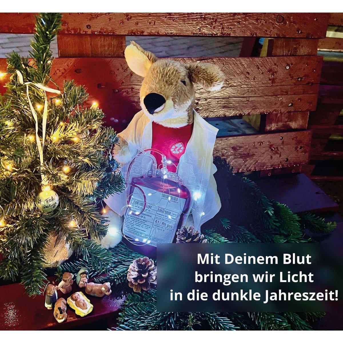 UniklinikEssen's tweet photo. Wer im Dezember in unserer Blutspende 🩸 spendet, bekommt nicht nur eine Aufwandsentschädigung, sondern auch einen Schokoladen-Weihnachtsmann🎅🤤.  🩸 Blut ist ein knappes Gut und es wird dringend benötigt!! 👉👉 https://t.co/RNrjW8xOFA https://t.co/mkfbJ7WyTH
