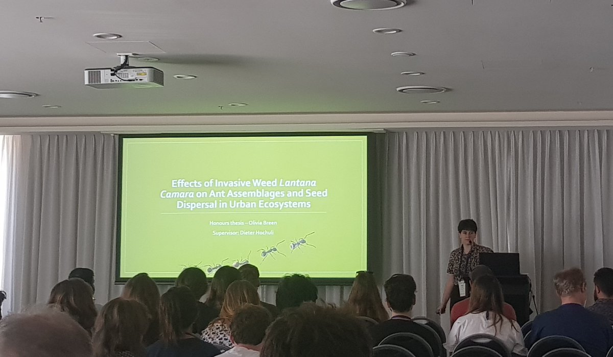 Olivia's talk on Lantana's effect on seed dispersal and ants was amazing! Love to see the ant and insect representation 🐜🐜🐜 <a href="/olive_ecology/">Olivia Breen 🌱</a>  #ESASCBO2022