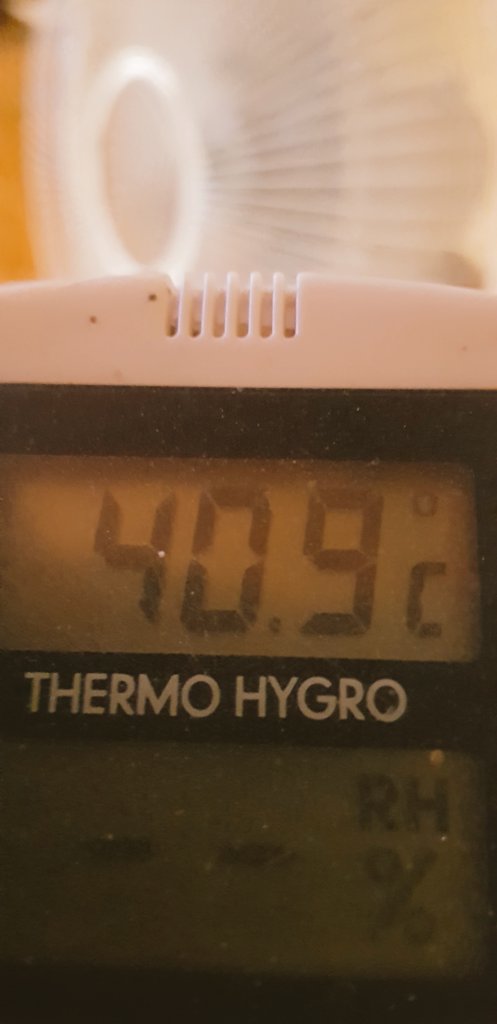 #calitzdorp #kleinkaroo A bit of a warmish day...on the back stoep. #sunlight makes for happy vines! And of course #water sometimes!