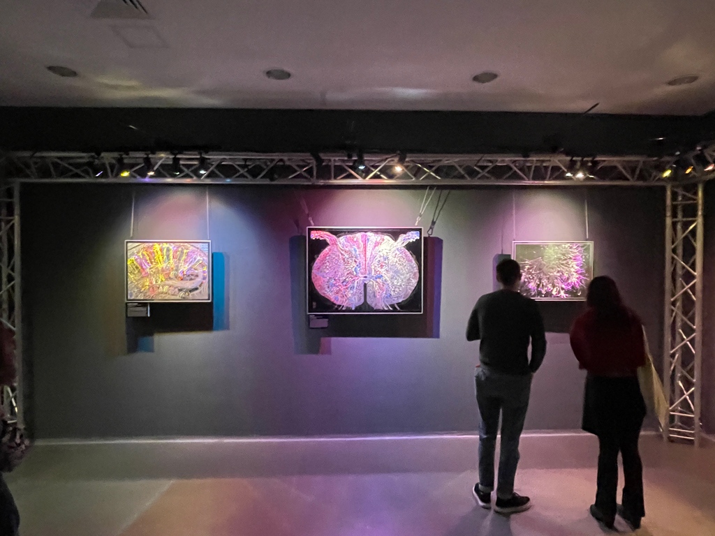 GDunnArt's tweet photo. Pix from the microetching exhibit at Ratio Forum in Sofia from last weekend, great turnout! I'll be exhibiting again at Doza Gallery in Sofia from Dec 6-10th, more info to come. @ratio.bg @brian.edwards.eng_art #microetching #sciart #brainart https://t.co/EE06Kf66py