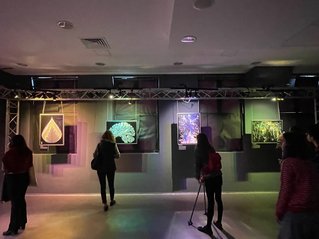 GDunnArt's tweet photo. Pix from the microetching exhibit at Ratio Forum in Sofia from last weekend, great turnout! I'll be exhibiting again at Doza Gallery in Sofia from Dec 6-10th, more info to come. @ratio.bg @brian.edwards.eng_art #microetching #sciart #brainart https://t.co/EE06Kf66py