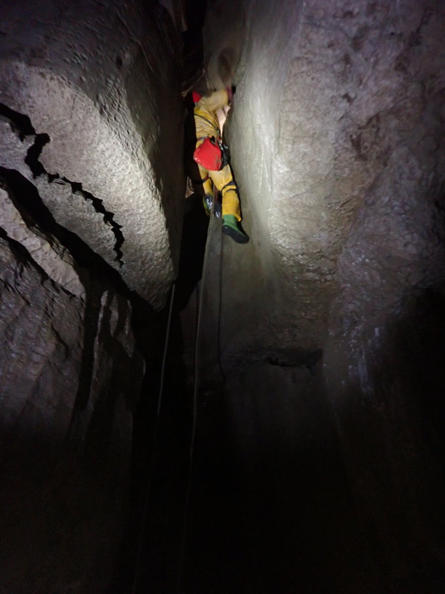 Nick James (@cardiganbear) on Twitter photo 