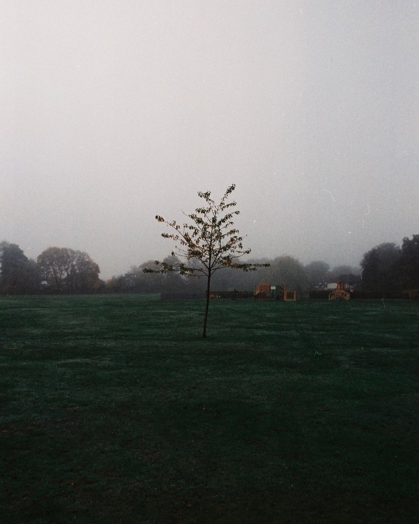 stillsbyjo's tweet photo. abandoned // expired film https://t.co/d3BuXiGmot