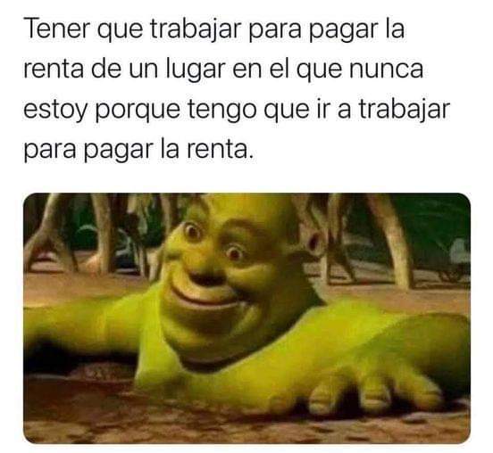 La cara de Shrek 😂