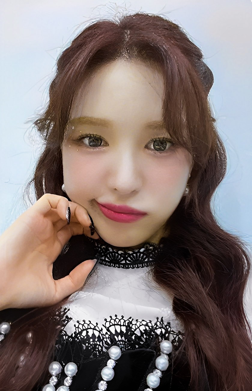 Red Velvet Wendy トレカ WENDY RED VELVET PHOTOCARD COMPILATION - OFFICIAL ALBUM CARD