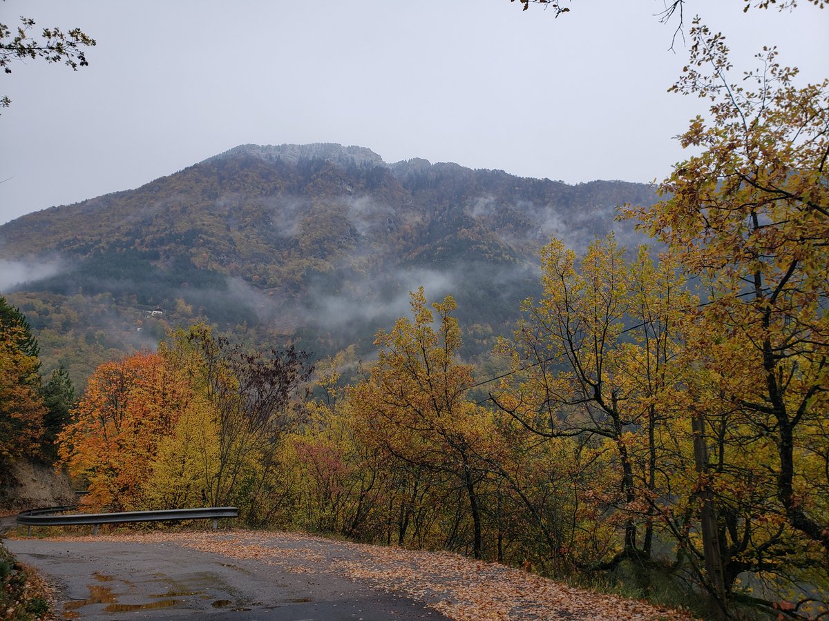 Celia_G06's tweet photo. Remplacement dans le petit village de la Bollène Vésubie, sur la toute, l'automne dans toute sa splendeur 😍

#AlpesMaritimes 
#MagnifiqueFrance https://t.co/NEAQKmsNHx