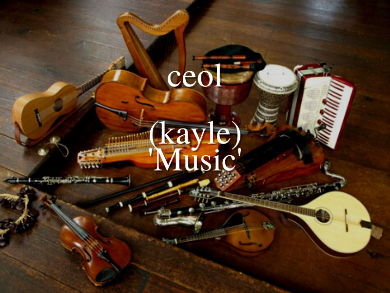 AmericanIrishSL's tweet photo. Traditional Irish music is known all over the world, and covers the whole spectrum of our emotions, from raucous, playful fun, to soulful, tragic ballads, you'll either be dancing or crying. With that being said, our #WednesdayIrishWordoftheWeek is 'Ceol' which means 'Music' https://t.co/PlU6VheJWG