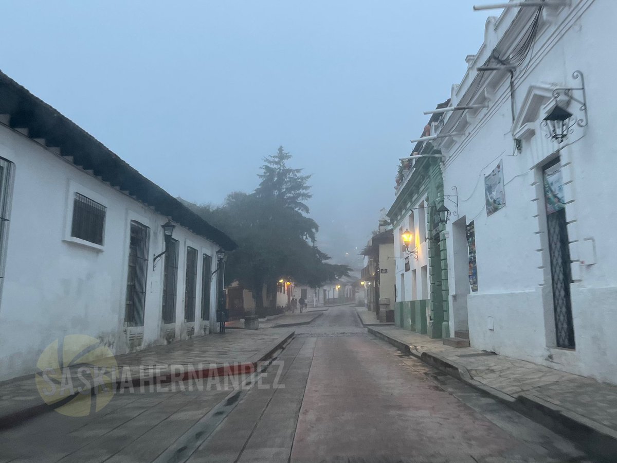 Saskia Hernández tweet media