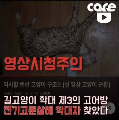 FromCareKorea's tweet photo. 🔥영상 매우 주의🔥

길에 살던 고양이들이 무참히 살해되었습니다. 

잔인하게 고양이를 학대하고 이를 구조행위로 포장하는 #신종_동물학대자 가 나타난 것입니다. 

‼️고양이학대 탄원서명
👉https://t.co/VHTgMBfBTm

‼️직접탄원서 쓰기(중요) 및 자세한 내용
👉https://t.co/ne2aJfOmg1

#케어 https://t.co/18ugH4XmQG