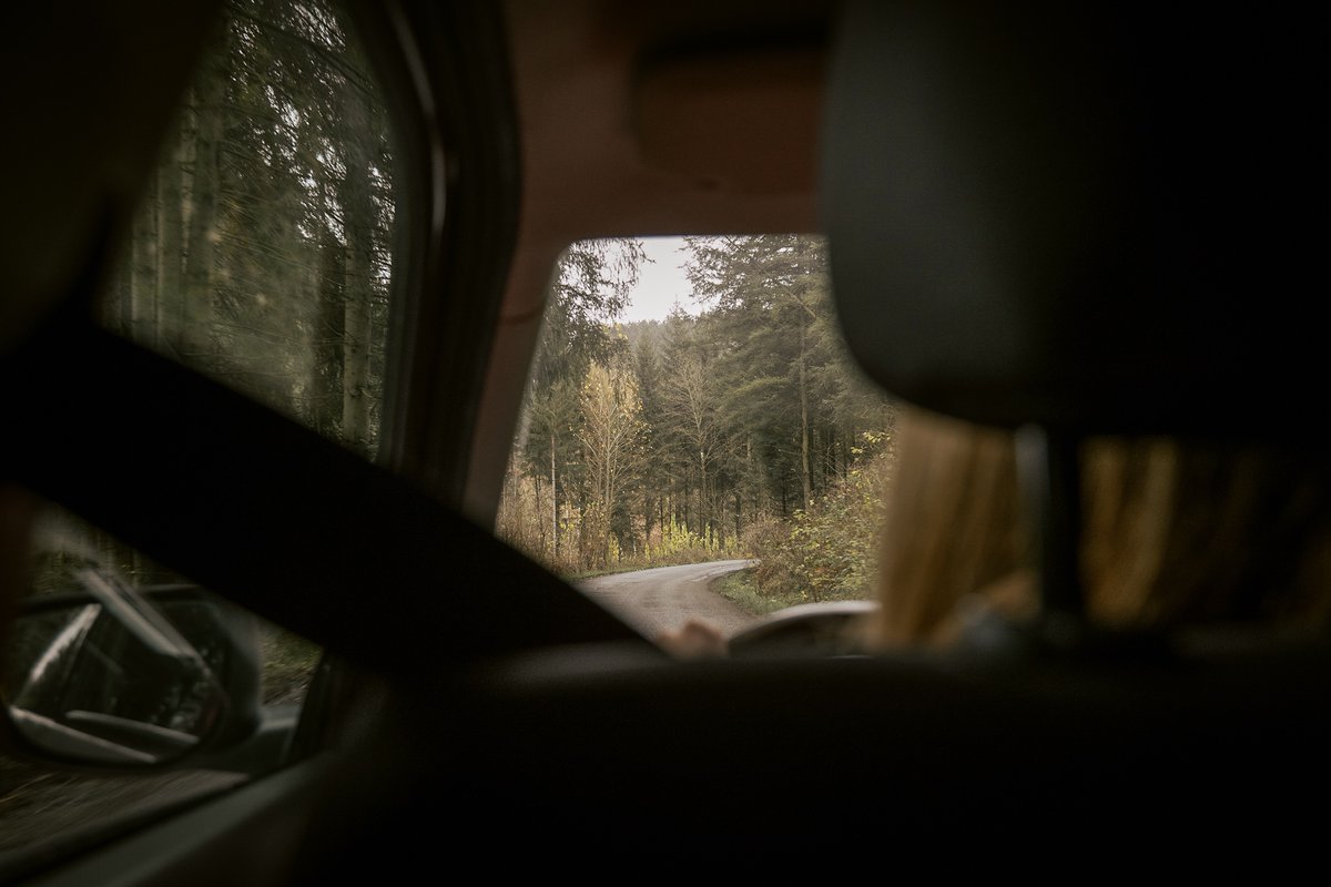 Javierps_me's tweet photo. on the back of the car through the roads and forests. autumn in belgium https://t.co/MYbcGRHBpl
