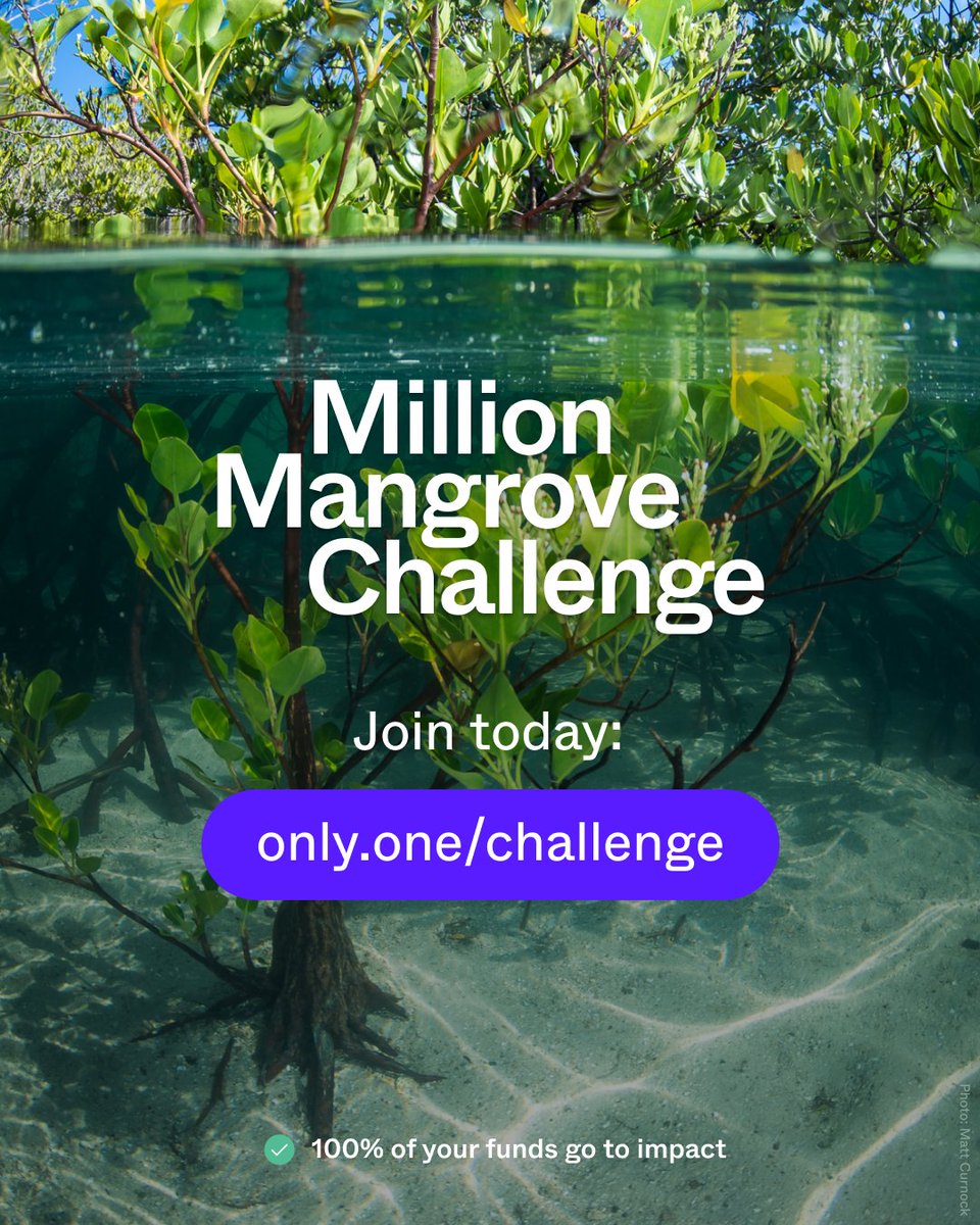 onlyone's tweet photo. The Million Mangrove Challenge is here – so what are you waiting for?

Our goal this giving season is to plant one million mangroves – take 30 seconds right now at https://t.co/PnaDb3a4iT to make an immediate impact in the fight against climate change. https://t.co/aPVvXSg2XI