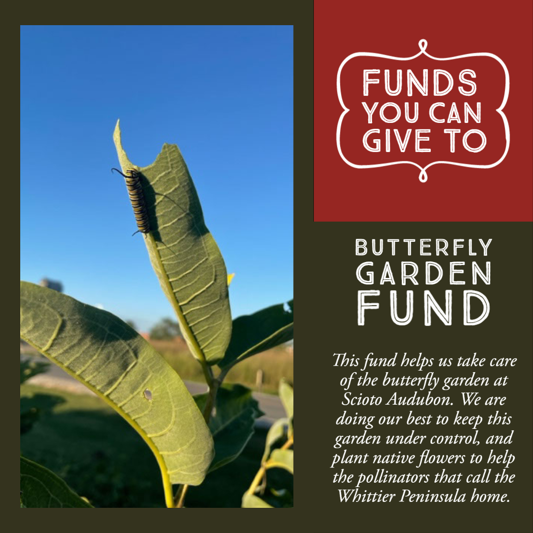 MetroParkFriend's tweet photo. #GivingTuesday is November 29th! Friends of Metro Parks is a 501c(3) nonprofit organization that helps to support the Metro Parks. If you can, please donate to one of our funds so that we can continue to support these amazing green spaces in Central Ohio.

https://t.co/68XZIAkH4d https://t.co/sU9zRBxWHQ
