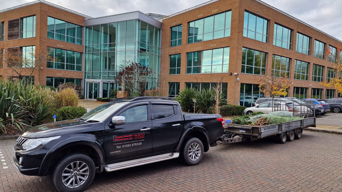 CountyGrounds's tweet image. A bit of Christmas dust with these 12 to 16’ trees heading to @MichelmoresLaw @SouthWestWater and @BurringtonEstat
