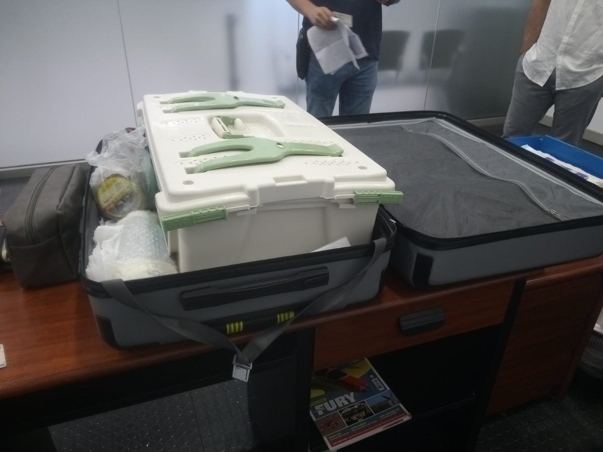SEO_BirdLife's tweet photo. Nuevo caso de tráfico ilegal en aeropuerto de Tenerife Sur: 8 pinzones azules, 20 pinzones vulgares (subsp. Tenerife y La Gomera) y aprox. 54 canarios de distinta procedencia. Destino➡️ #Italia para venta en el mercado ilegal. Colaboramos desde @seocanar
#GuardianesdelaNaturaleza https://t.co/SFLxiLlvQB
