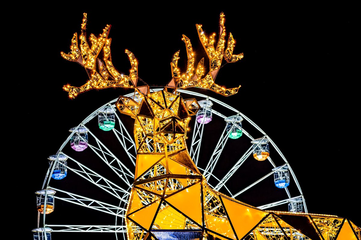DorsetShazz's tweet image. ‘Deer &amp;amp; Big Wheel’

Bournemouth — at #ChristmasTreeWonderland #Bournemouth #Dorset #Christmas @Bournemouthecho @bmouthofficial @VisitBMTH @lovefordorset