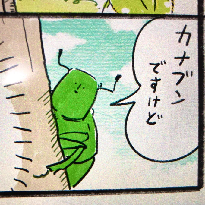 カナブン漫画。 