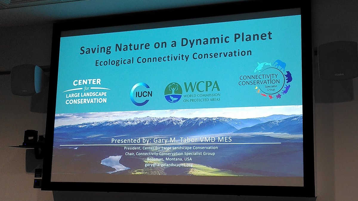 Thomas Starnes tweet media