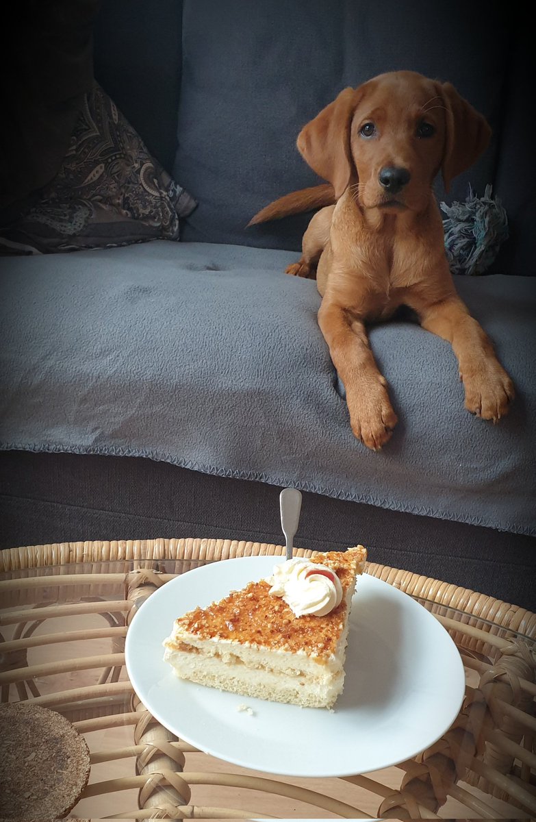 gotta watch out for the cake