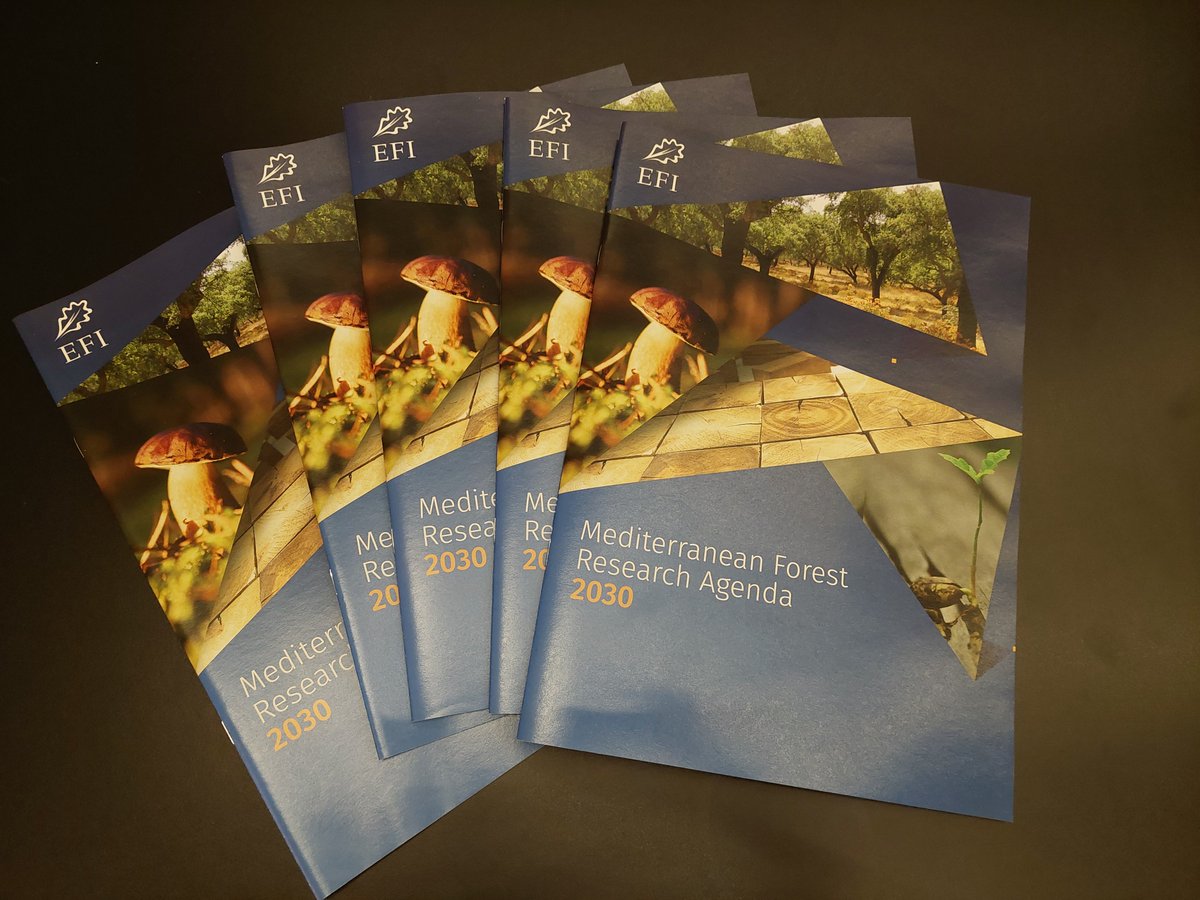 The #EFIMedForum kicks off with the launch of the Mediterranean Forest Research Agenda 2030!

The Agenda aims to involve stakeholders in making Mediterranean #forests more #resilient in the face of #ClimateChange &amp; demographic challenges!

Explore it 👇
doi.org/10.36333/rs5