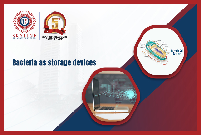 SkylineUNigeria's tweet image. The idea of using bacterial cells for storing information has been thought of for a long time. This idea was a result of the large quantity of new information rapidly generated on a daily basis 
Read more 👉 bit.ly/3APB7zi
#SUN #KnowledgeUpdate #SkylineUniversityNigeria