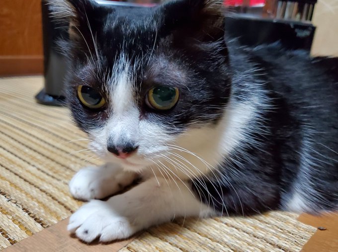 18歳おめでとう 