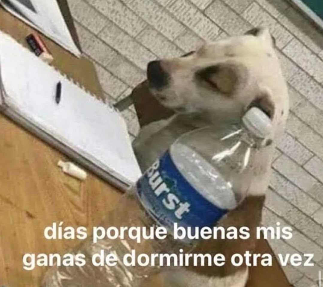 no me llamo vicenta (@kansaita_) on Twitter photo 