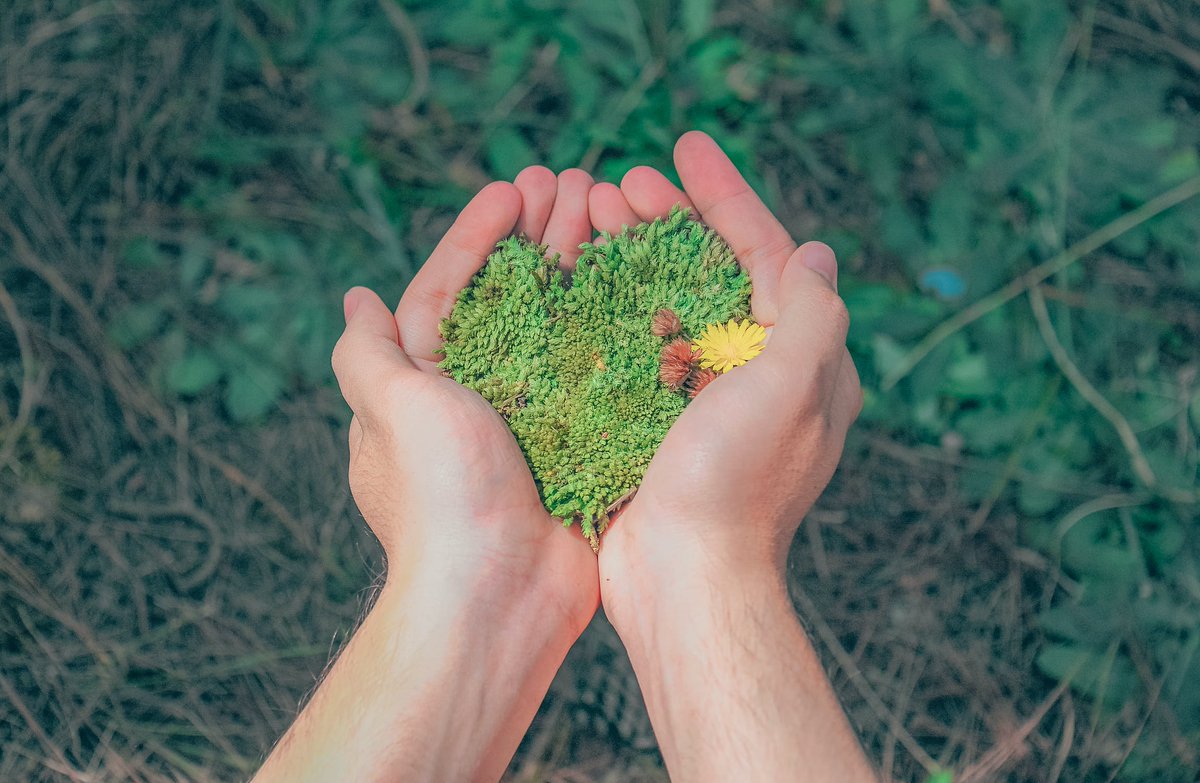 No pollution is the only solution. 🌳

Our printers are a great alternative to traditional printing methods for reducing unwanted waste and lowering its impact on the planet.

able-systems.com/blog/pat-testi…

#environment #printingsolution