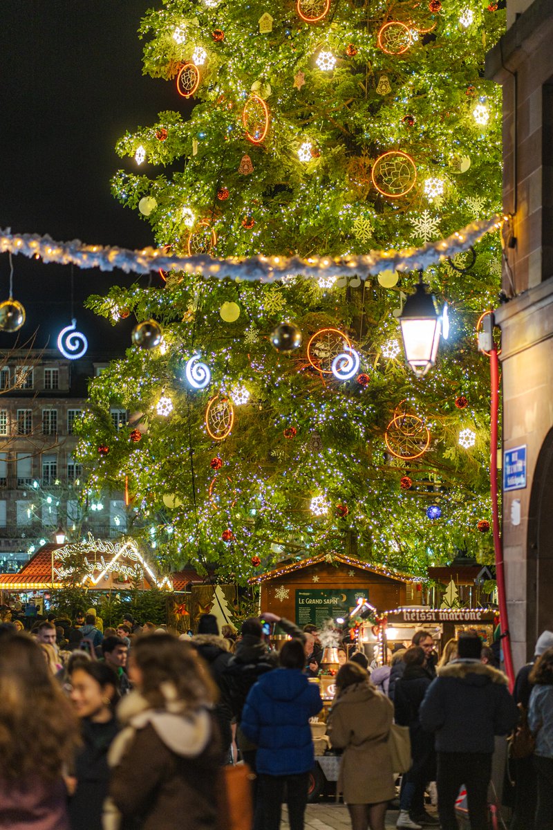 Damien Maurin tweet media