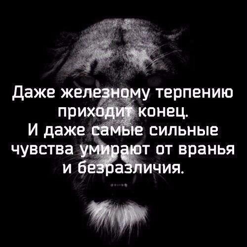 FallQuoitrel's tweet image. 