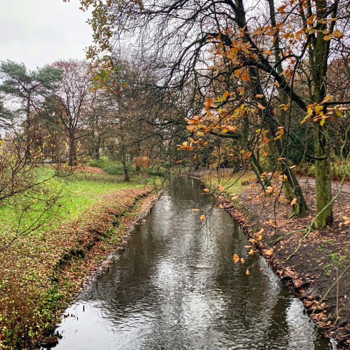 slowberlin's tweet photo. Sure the skies are grey and the late autumn palette feels muted. But there’s more colour out there than you might think. #berlin #runningberlin https://t.co/tbqRuVO3TH