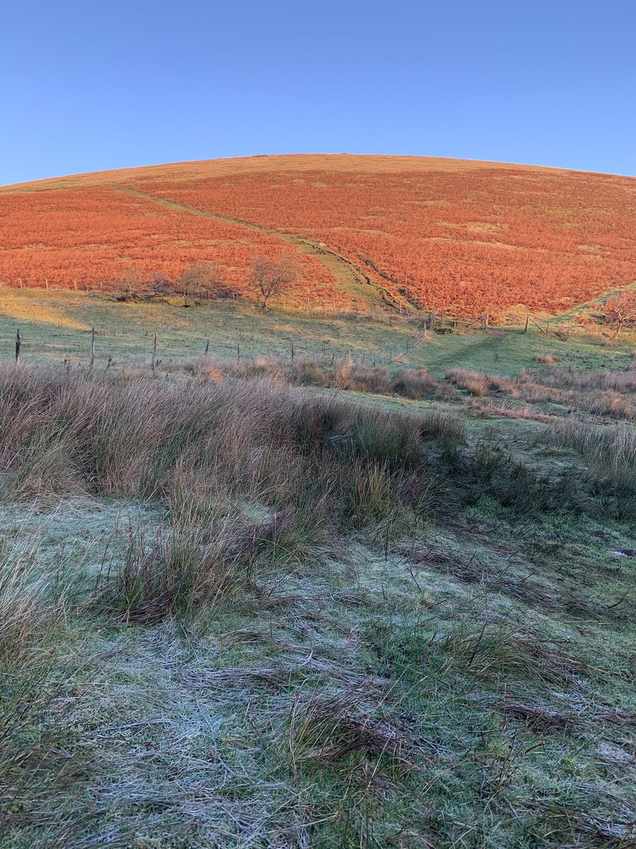 Helen Matthew ⛰🥾🏕🏑🏃‍♀️🚴‍♀️🏋🏼‍♀️ tweet media