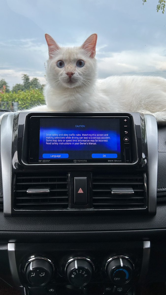 nuradasss's tweet photo. Day 28/84. Almost sebulan, tapi pandai melawan taknak cucuk 😅 grrrr current weight 3.52kg ❤️ #wetfip https://t.co/g7S39AJWi1