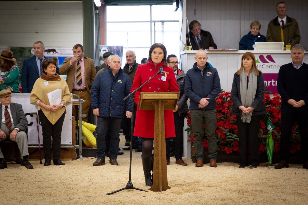 We are delighted to be proud sponsors of the <a href="/royalwelshshow/">Royal Welsh Agricultural Society</a> #WinterFair again this year!❄️Come visit the team today at our tradestand and check out the high standard of stockmanship in the judging rings. Here are some highlights from day 1!❄️