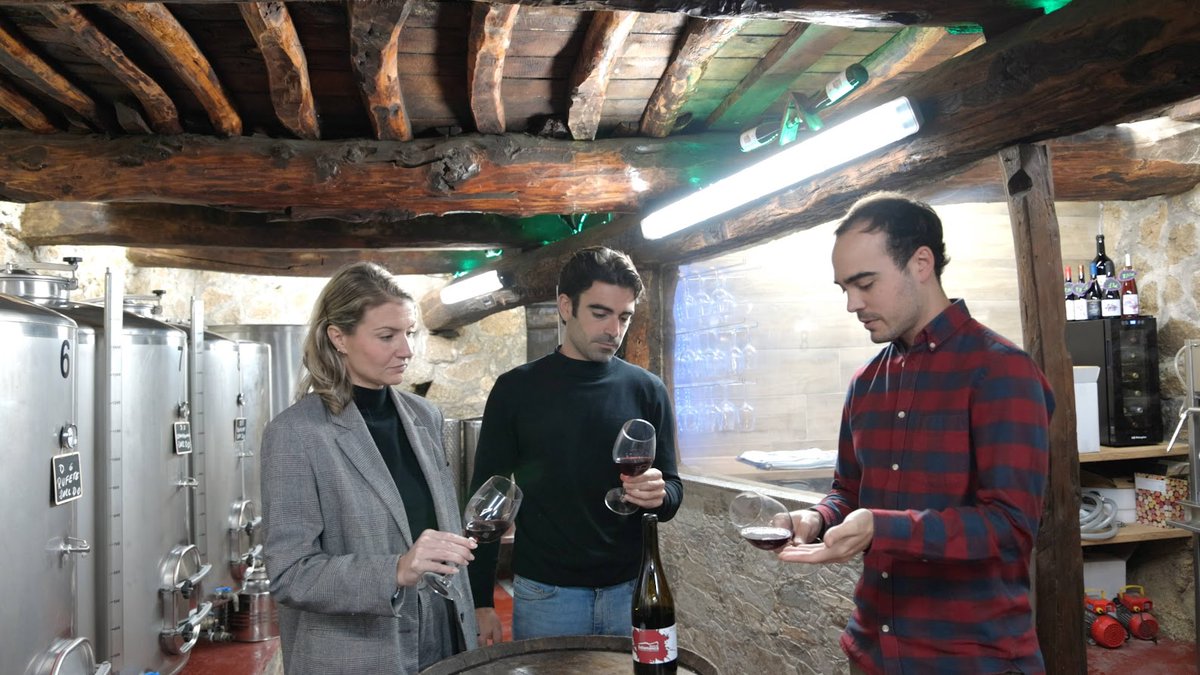 El vino. Uno de los ejes de la economía de la Sierra de Francia. Nuestros embajadores también han podido disfrutar de  una cata de vino. ¡Toda una experiencia que os invitamos a probar!