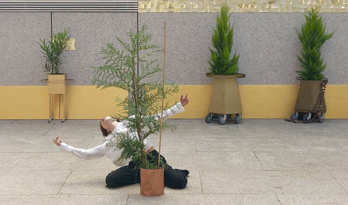 BIONICFESTIVAL's tweet photo. ESTRELLA MARTIN PICANES &amp; CUPRESSUS X LEYLANDII - GANADORA DEL 2ºPREMIO BIONIC FESTIVAL 2022 https://t.co/XIB8MPSBl8 #BionicFestival #Danza #Madrid #ArtesEscénicas #HuellaDeCarbonoNegativa @culturagob @mitecogob @Teresaribera @miqueliceta  @TeatrosCanal #ArteCircular #BionicDance https://t.co/Q7gzIeDk0W
