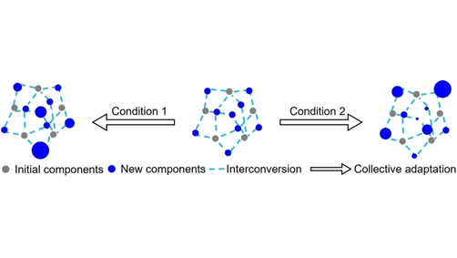 ChemSystemsChem (@chemsystemschem) on Twitter photo Designed Complex Peptide-Based Adaptive Systems: A Bottom-Up Approach. Check out the review by <a href="/SalmaKassem/">Salma Kassem</a> und Rein Ulijn (@UlijnGroup <a href="/ASRCnanoscience/">ASRC Nanoscience Initiative</a>) onlinelibrary.wiley.com/doi/10.1002/sy… Designed Complex Peptide-Based Adaptive Systems: A Bottom-Up Approach. Check out the review by <a href="/SalmaKassem/">Salma Kassem</a> und Rein Ulijn (@UlijnGroup <a href="/ASRCnanoscience/">ASRC Nanoscience Initiative</a>) onlinelibrary.wiley.com/doi/10.1002/sy…