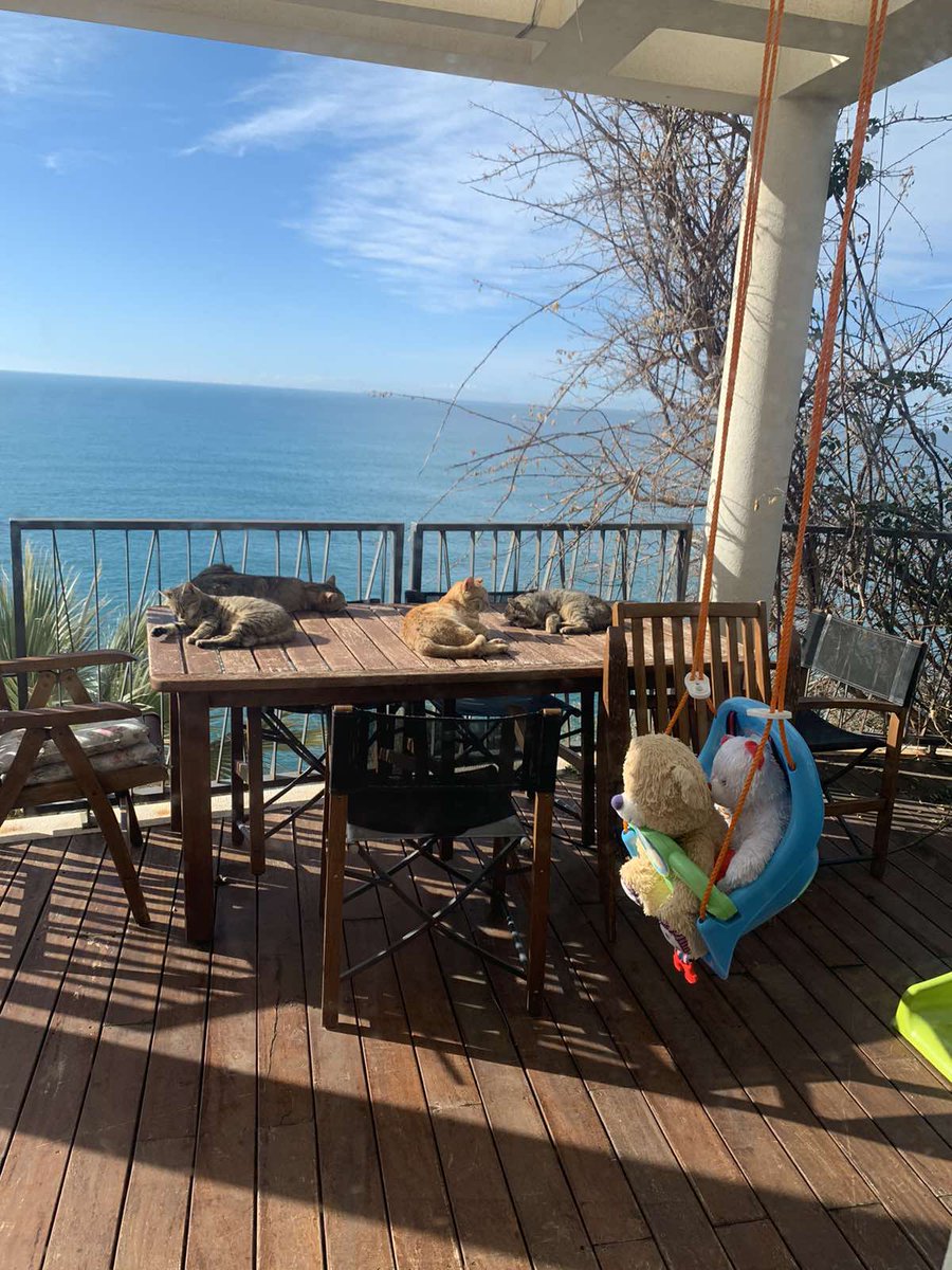 🌞💙🍀🧿🌿☘️